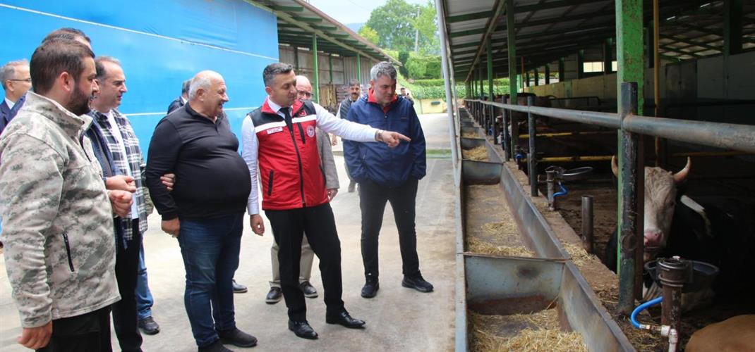 İL MÜDÜRÜMÜZ MUSTAFA İLMEÇ KURBAN SATIŞ VE KESİM TESİSLERİNİ ZİYARET ETTİ