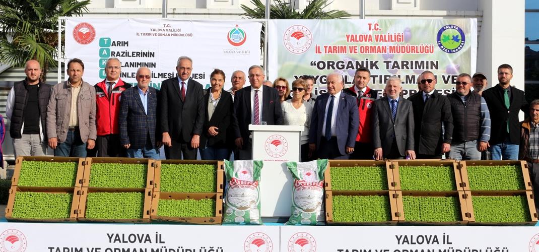 ÇİFTÇİLERE ORGANİK ARONYA GÜBRESİ İLE KIVIRCIK FİDESİ DAĞITILDI