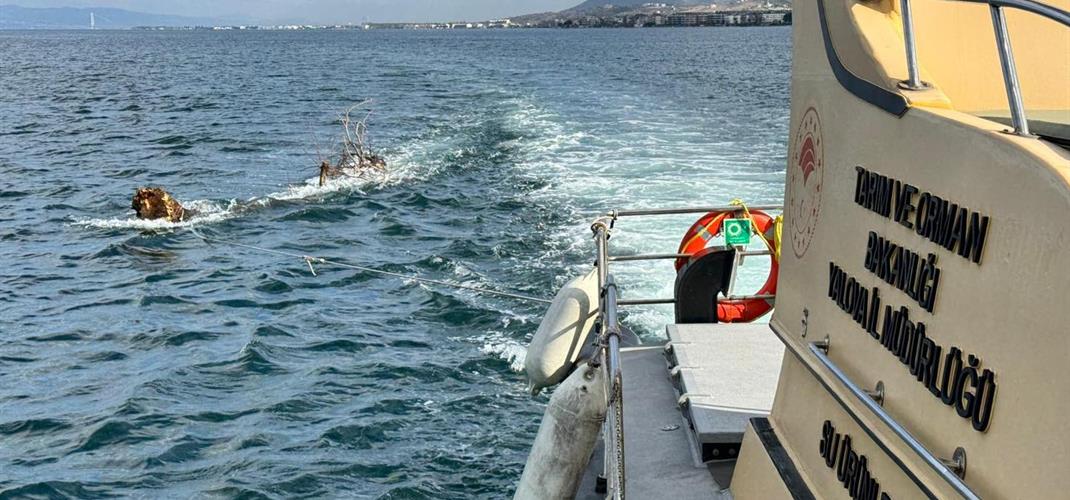 DENİZDE TEHLİKE OLUŞTURAN AĞAÇ BARINAĞA ÇEKİLDİ