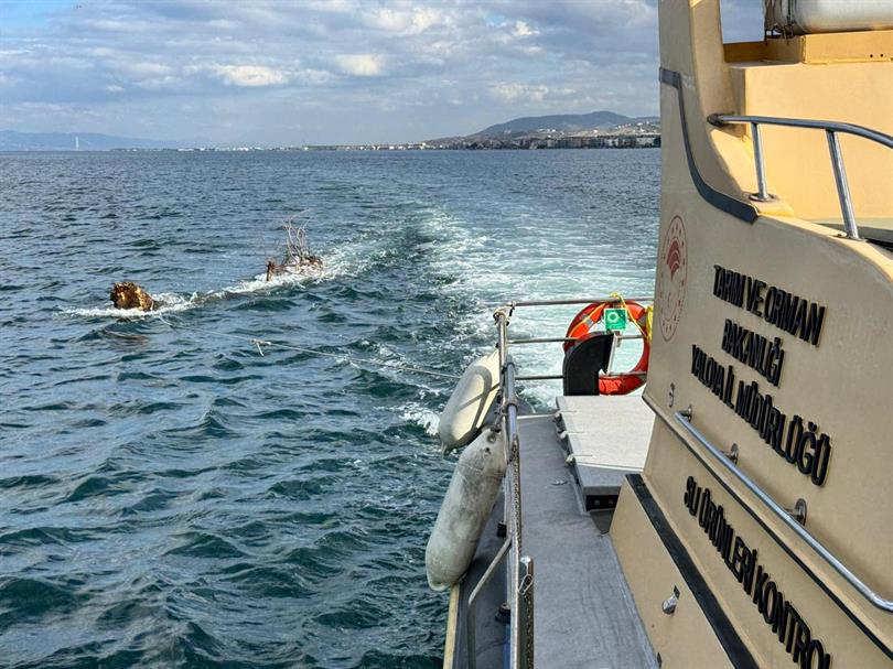 DENİZDE TEHLİKE OLUŞTURAN AĞAÇ BARINAĞA ÇEKİLDİ