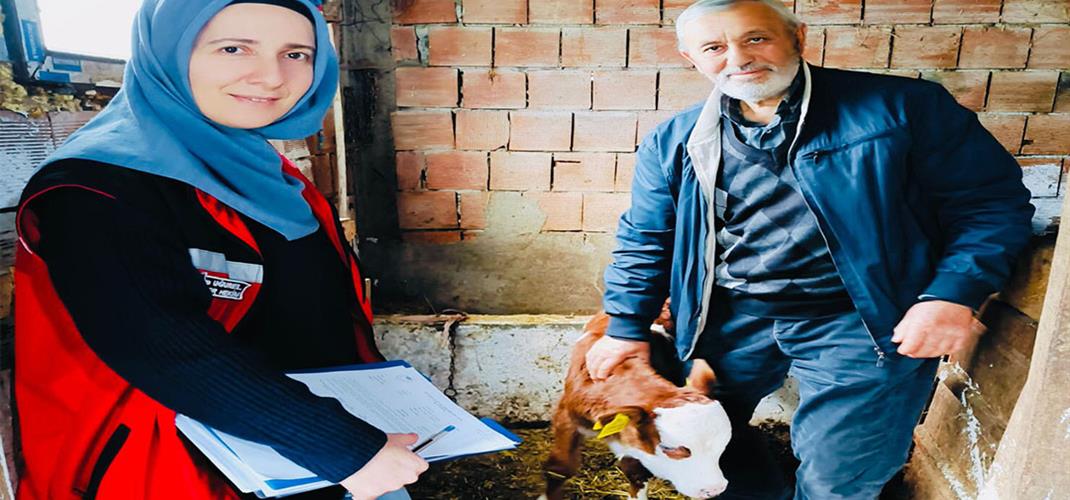 YALOVA'DA “GEBE İNEK VE SAĞLIKLI BUZAĞI" PROJESİ KAPSAMINDA EĞİTİM VE SAHA ZİYARETLERİ BAŞLADI